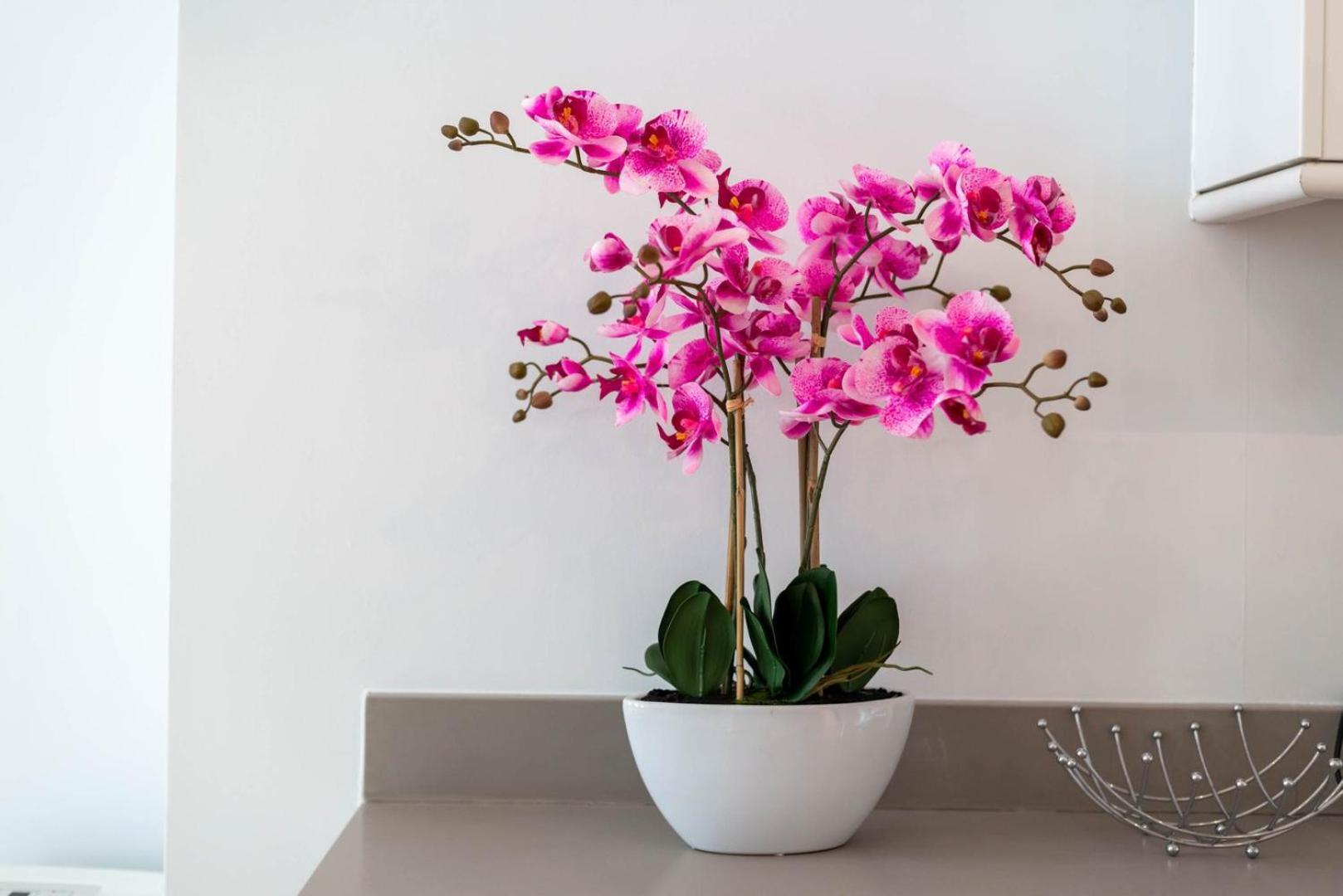 伦敦Guestready - Stunning Covent Garden 2Br Duplex公寓 外观 照片